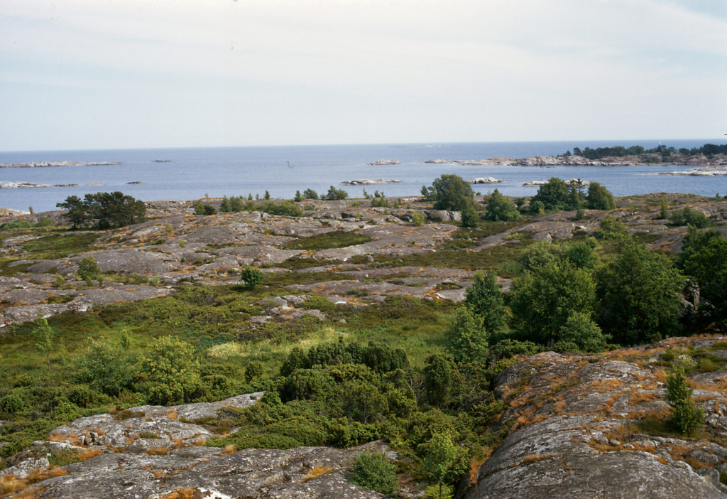 Vy över klippor, buskar och havet. Det är sommar.