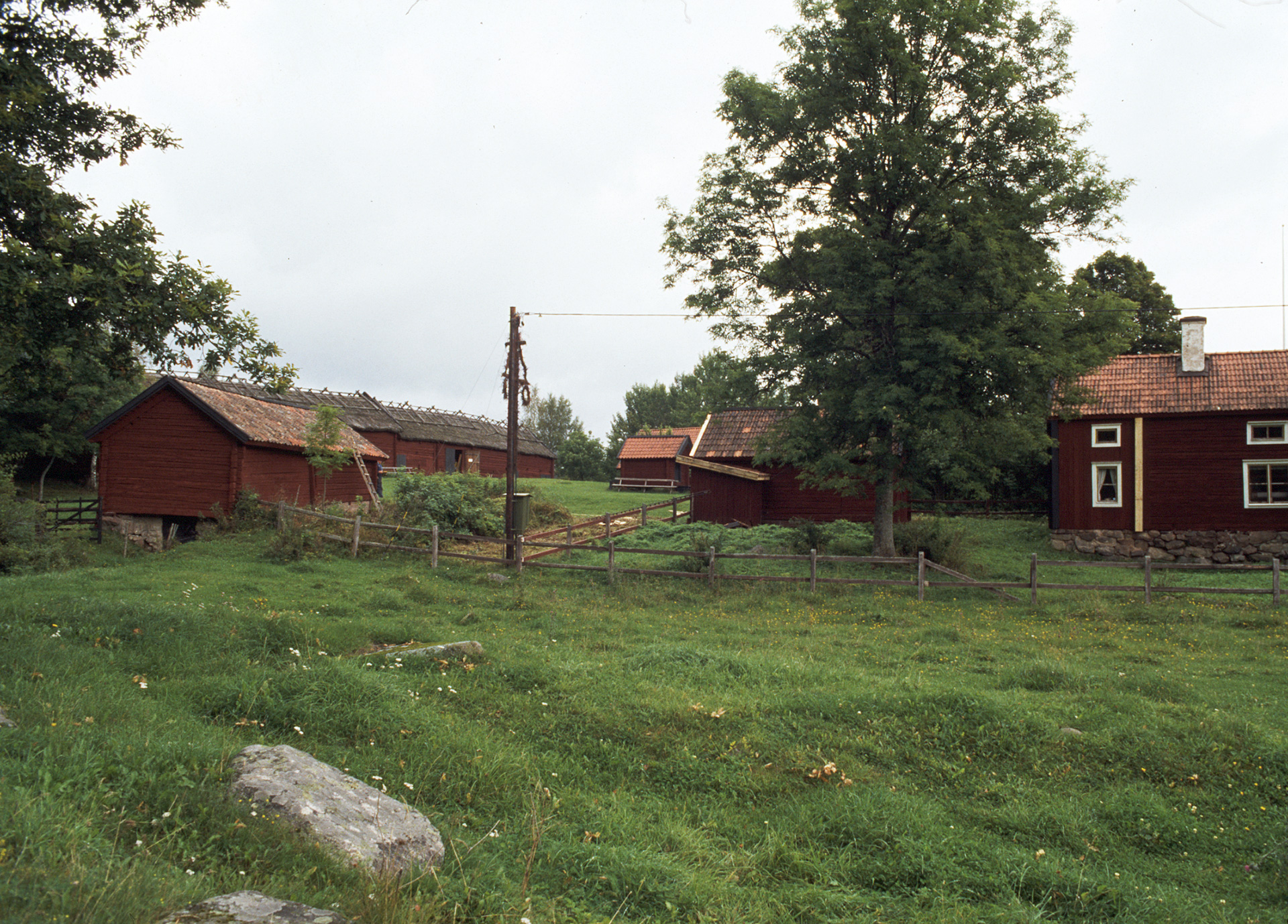 Små hus som står innanför ett staket. Det är sommar.