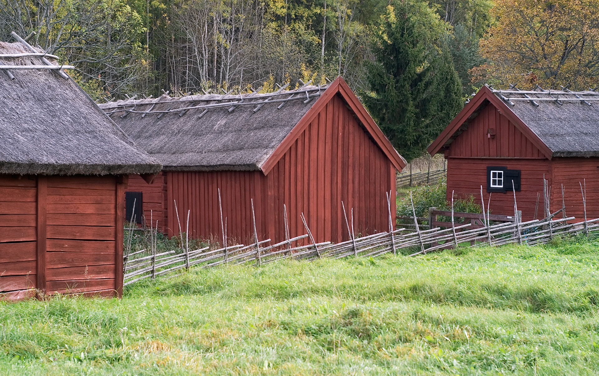 Tre hus som står på rad. Det är högt gräs vid husen.