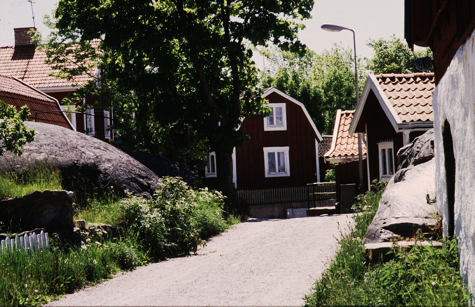 Hus längs med en gata. Det är sommar.