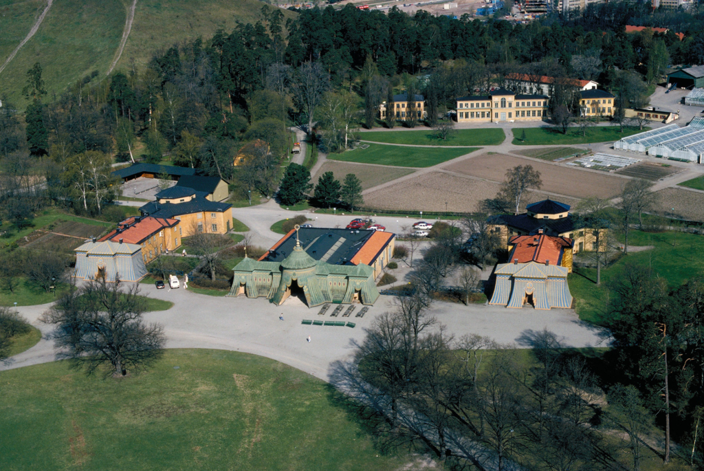 Vy över några hus som omgärdas av en skog.