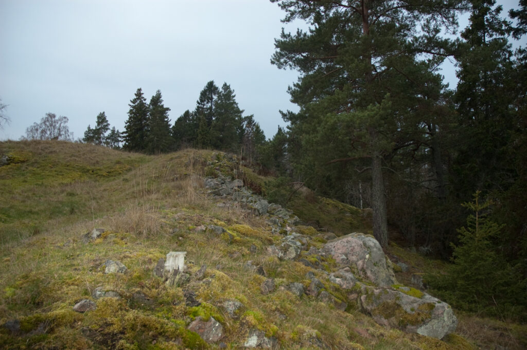 En kulle i skogen. Det är sommar.