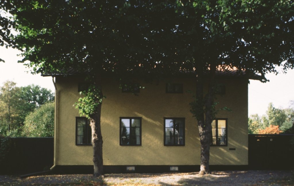 Gul husfasad där övervåningen döljs av två gröna lövträd. Huset omges av plank på båda sidor.