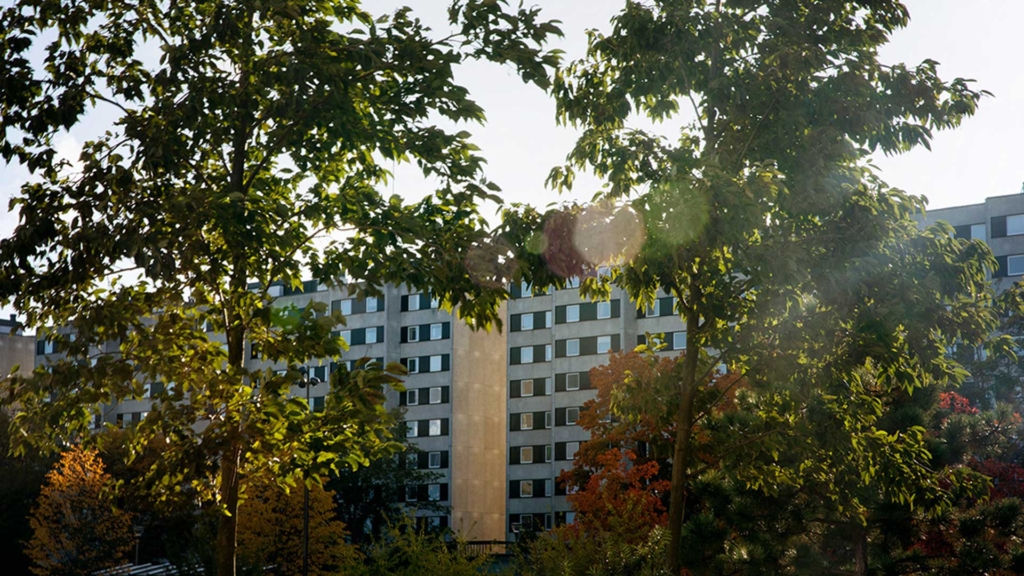 Fotografi av Malmvägen och träd i Malmparken