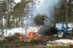 Riset från skogsavverkningen eldas.